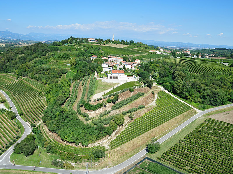 Weinkellerei photo