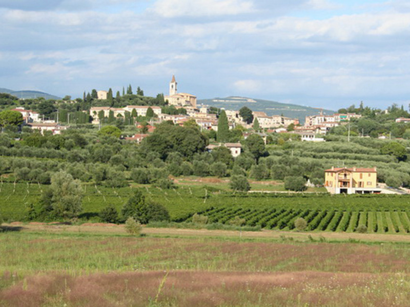 Weinkellerei photo