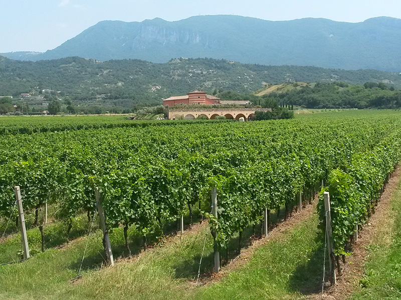 Weinkellerei photo