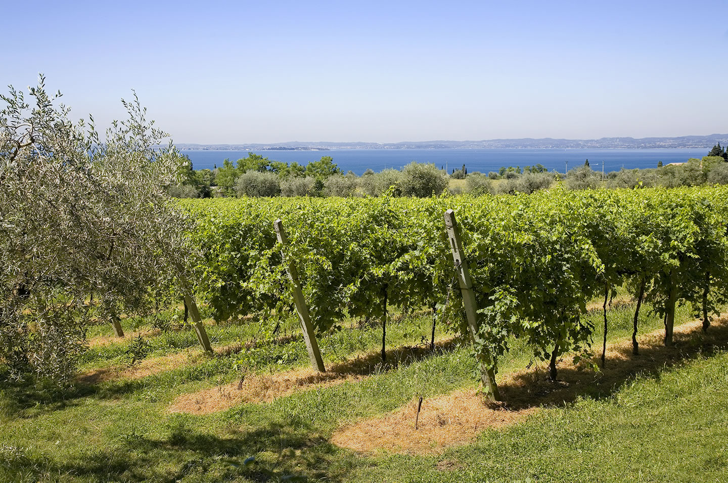 Lake Garda