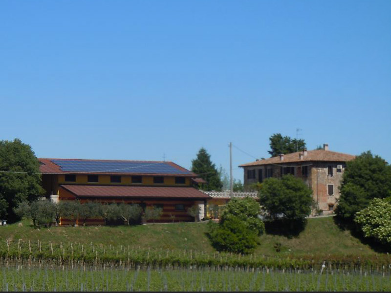 Winery photo