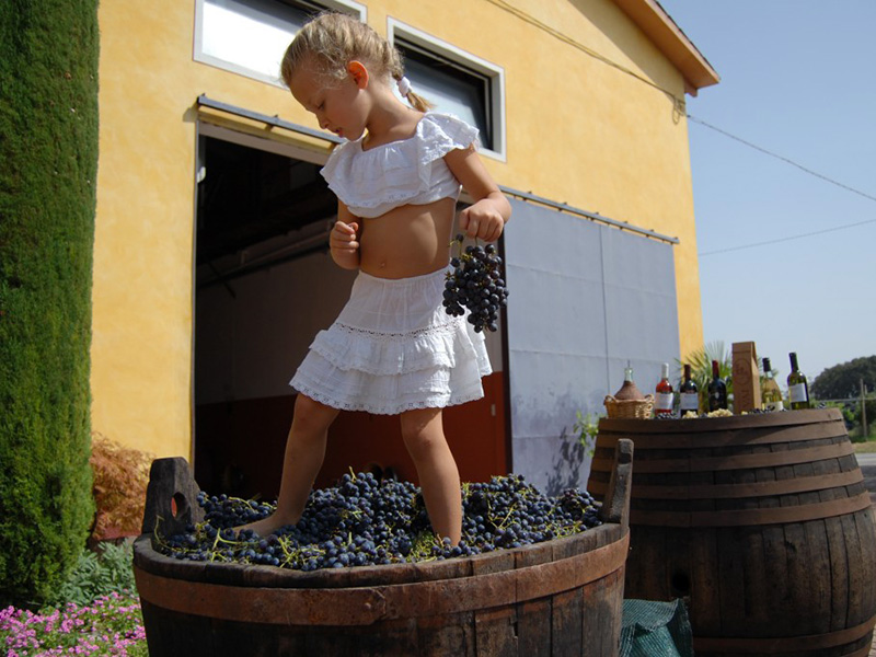 Winery photo