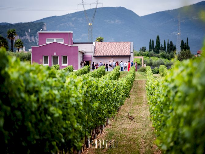 Weinkellerei photo