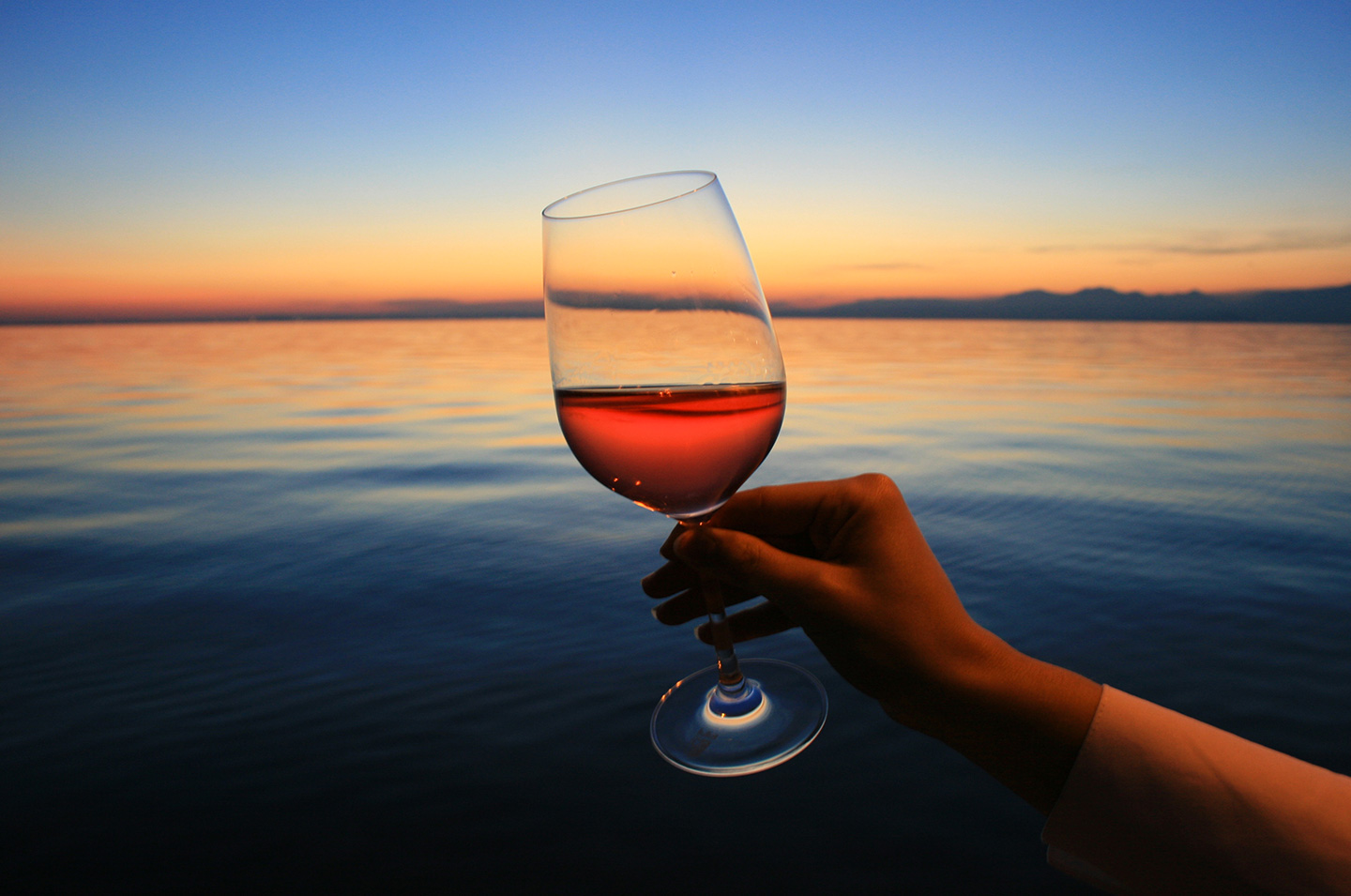 I vini del lago di Garda